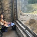 달라스레오 이미지