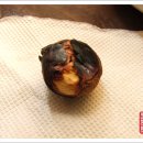 안동갈비&갈비살 이미지