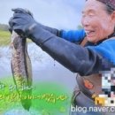 육지&해녀 이미지