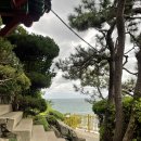 해동식당 이미지