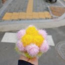 (주)자연바라기