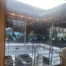 일상가배 | 주말일상 ) 왕송호수 카페 초평가배 후기