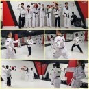 차오름태권도장 이미지