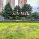 무등산자락 무돌길 15길 푸른길 이미지