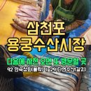 안숙상회 | 삼천포 용궁수산시장 생선 구매 후기｜볼락과 갈치 포장까지 만족했던 찐 방문 리뷰