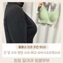 핏서치 | 큰컵브라 추천 편한 심리스 브라 BGD 모찌서포트핏브라 솔직후기