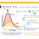 혈당 스파이크 증상 원인 혈당 스파이크 수치 방지 혈당 롤링 이미지