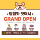 댕댕카 이미지