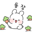 매봉힐링캠프 이미지