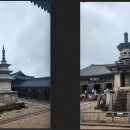 폭우 속 경주 여행 2일 차 낮여행