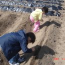 후계자주말농장 이미지