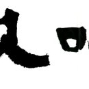 버섯마당 이미지