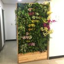 안양시청 앞 이미지