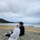 월포마을 | 팔공산 전메뉴 4,000원 가성비 노포 동림식당 ft.포항 월포해수욕장