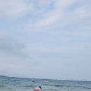 솔개해수욕장펜션
