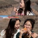 다솜투어 이미지