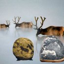 수석농장 이미지