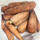 동욱농장 | 제주구좌당근으로 당근사과주스 만들어 먹기