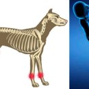 멍쓰홀릭 이미지