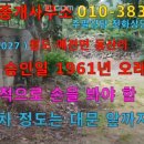 구년건축