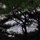 장미동산(좌) 이미지