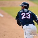 정진호 카카오 검색결과