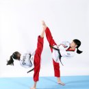 JMT 정무태권도장 이미지