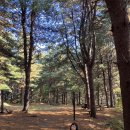 황방농원 캠핑장 이미지