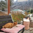 나리상회 이미지