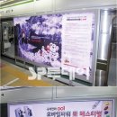 미성애드