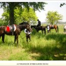 훼밀리승마클럽 이미지