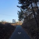 [북부] 웰빙요가 B | 강원도 고성 숙소 추천 파랑뷰호텔 오션뷰 재방문 후기, 다시 찾은 이유