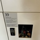 대구북구미술협회 초대전 | 국립현대미술관 국현미 전시, MMCA 서울 상설전 《한국현대미술 하이라이트》