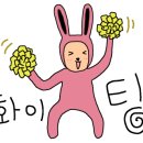 부산 동삼동 패총 네이버블로그