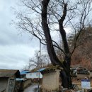 외씨버선길(장계향디미방길) 이미지