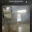 패션 인스타그래머의 BeReal 후기