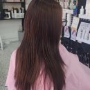 HAIR TEDI(헤어태디)