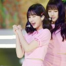 윙크 엑스포츠뉴스