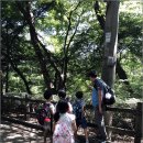 자연속으로 이미지