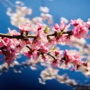 목사내아기타 이미지