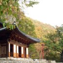 삶 오로지 다 이미지