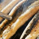 영천민물장어 이미지