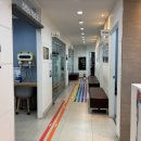 시흥센트럴이비인후과의원 | 시흥 이비인후과 비염이 계속되는 이유와 관리 포인트