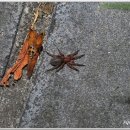 우주 행정사 사무소 이미지