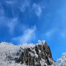 2024-주218 이미지