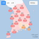 삼육가 - 강남구 강남대로114길 8 | 삼육가