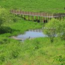 숲속마을도서관 이미지