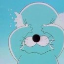 우리집 강아지 이미지