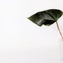 디자인 여백