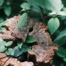 중앙공원 산책로 이미지